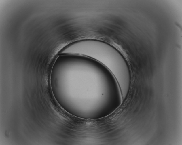 X0000091960060200709061108