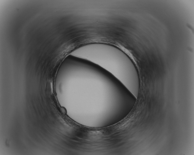 X0000091960061200709061108