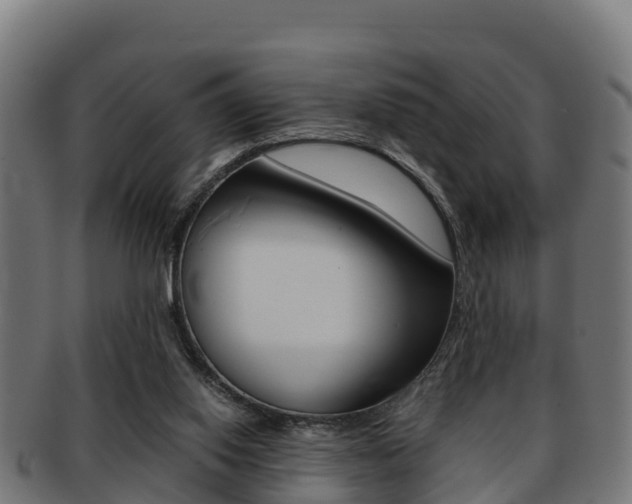 X0000091960062200709061108