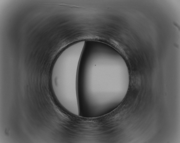 X0000091960063200709061108