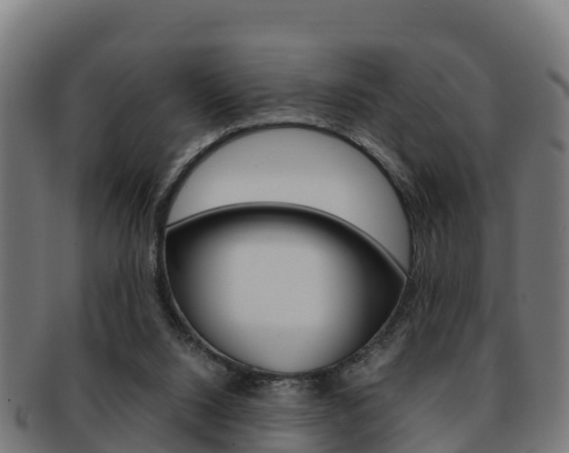 X0000091960064200709061108