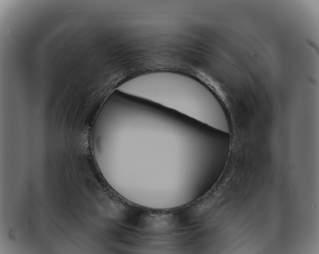 X0000091960065200709061108