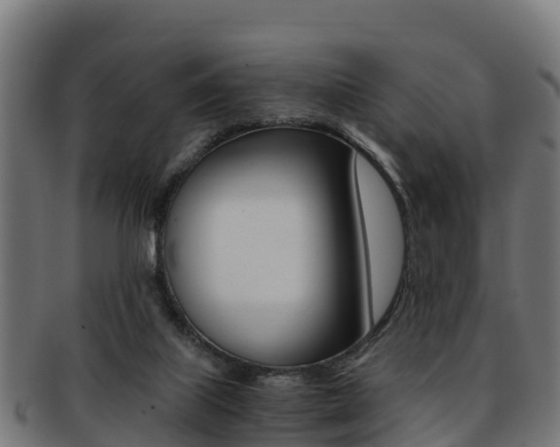 X0000091960067200709061108