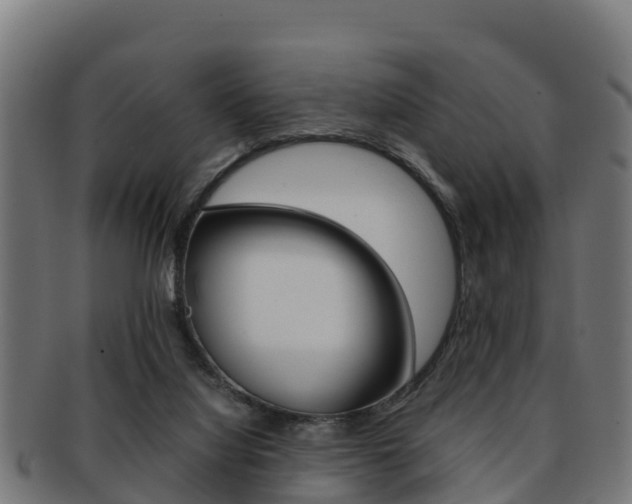 X0000091960068200709061108