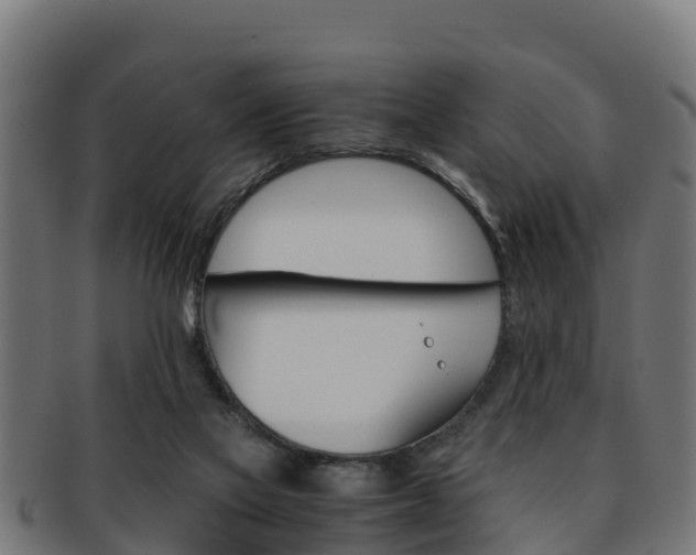 X0000091960069200709061109