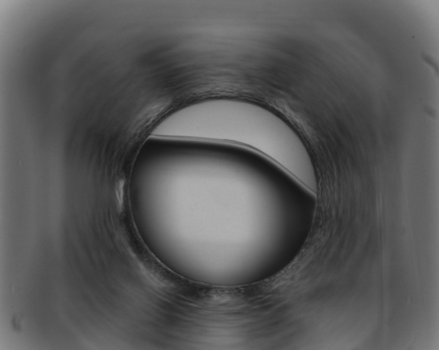 X0000091960070200709061109