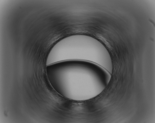 X0000091960071200709061109