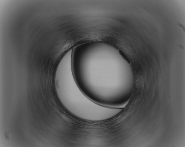 X0000091960072200709061109