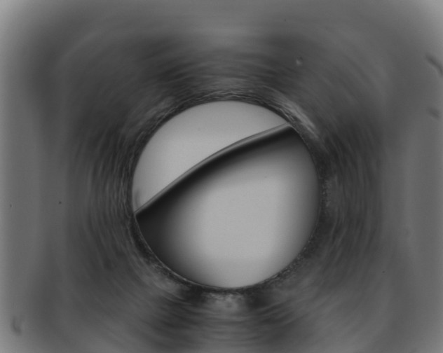 X0000091960073200709061109