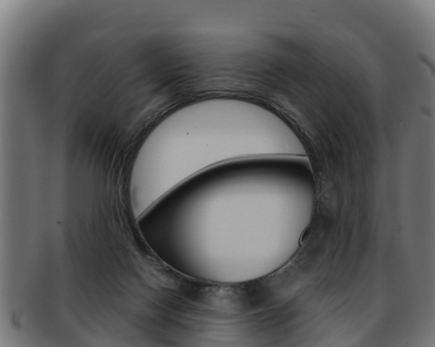 X0000091960074200709061109