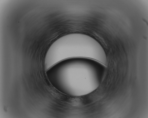 X0000091960075200709061109