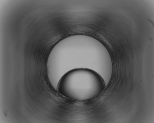 X0000091960076200709061109