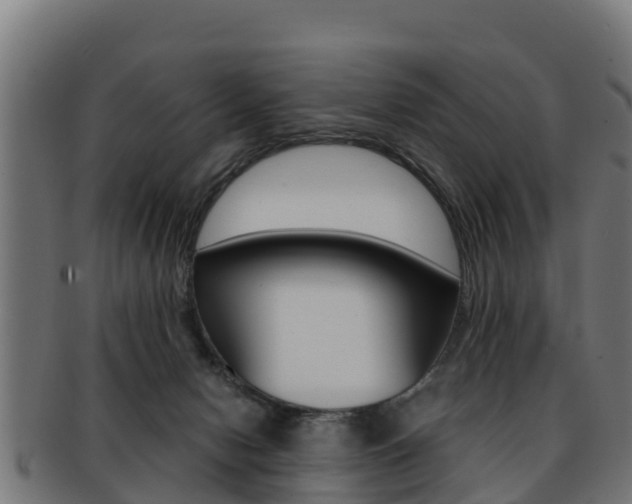 X0000091960078200709061109