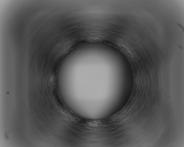 X0000091960079200709061109