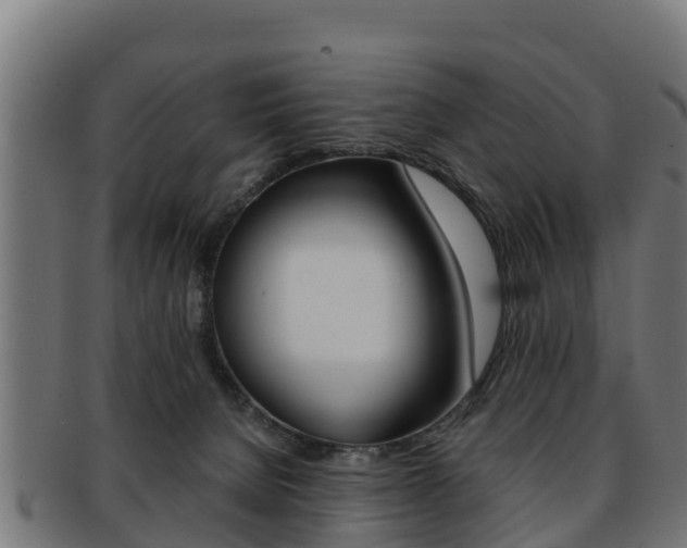 X0000091960080200709061109