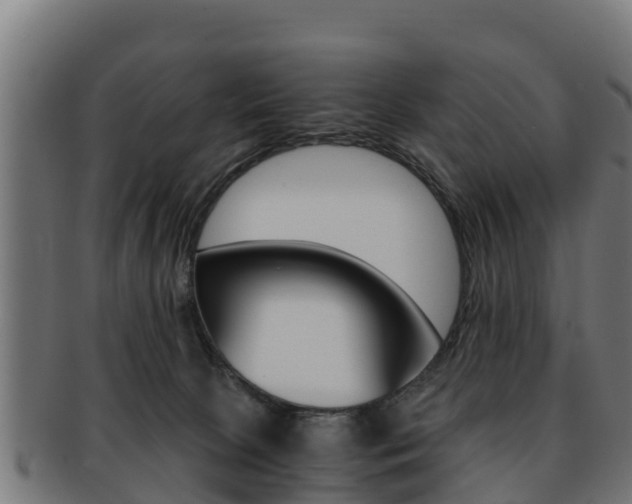 X0000091960081200709061109