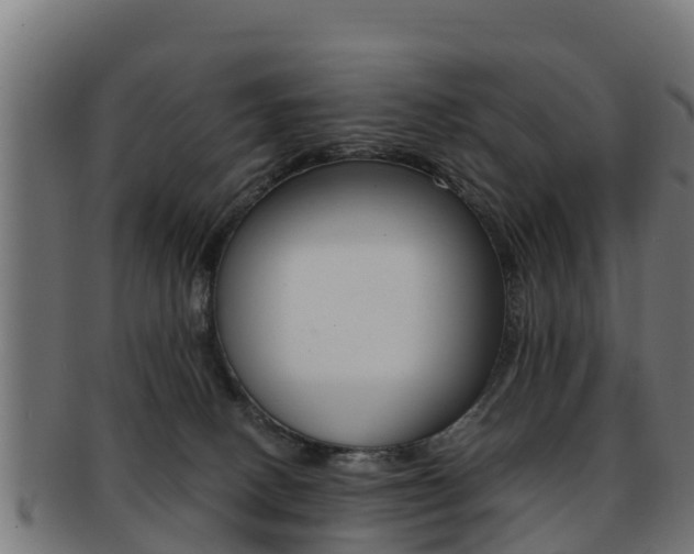 X0000091960082200709061109