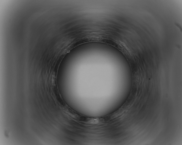 X0000091960083200709061109