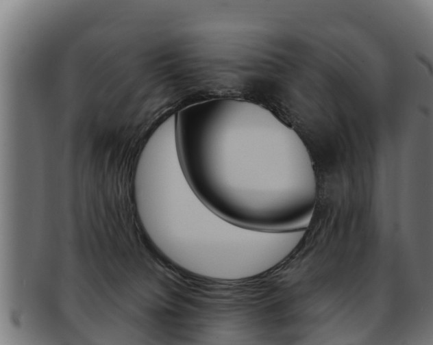 X0000091960084200709061109