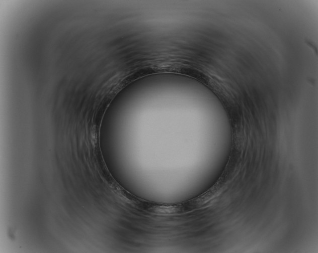 X0000091960085200709061109