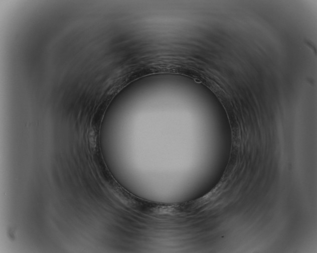 X0000091960086200709061109