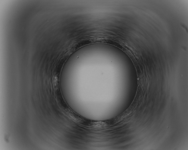 X0000091960087200709061109