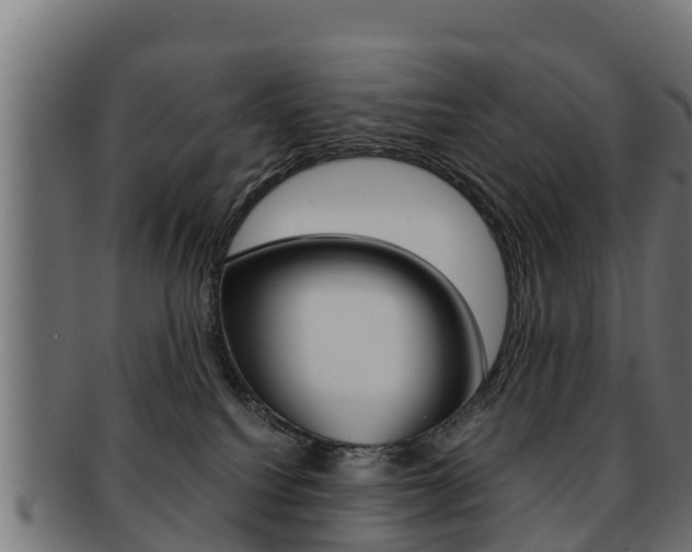 X0000091960088200709061109