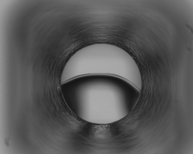 X0000091960089200709061109