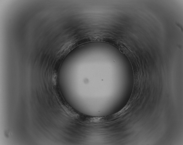 X0000091960090200709061109