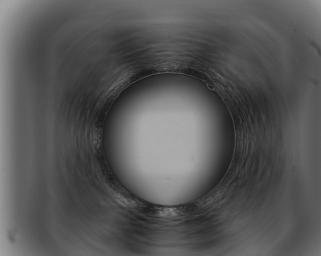 X0000091960091200709061109