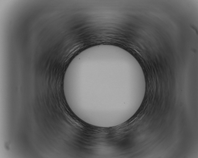 X0000091960092200709061109