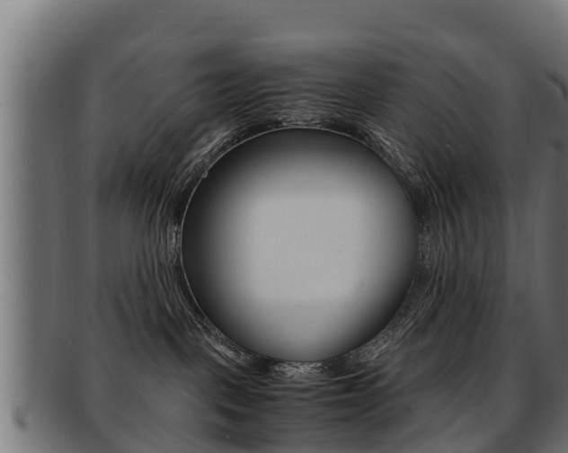 X0000091960093200709061109