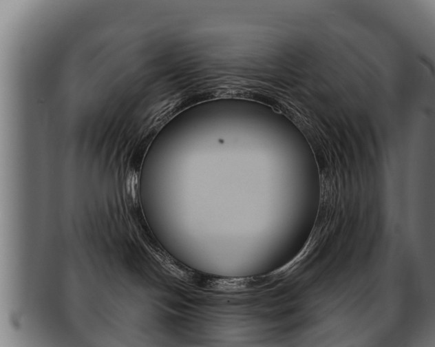 X0000091960094200709061109