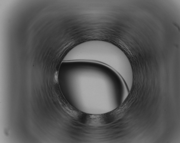 X0000091960095200709061109