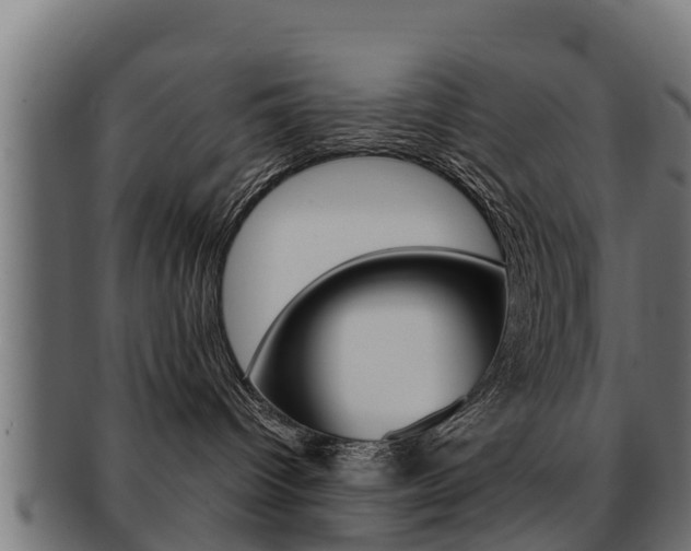 X0000091960096200709061109