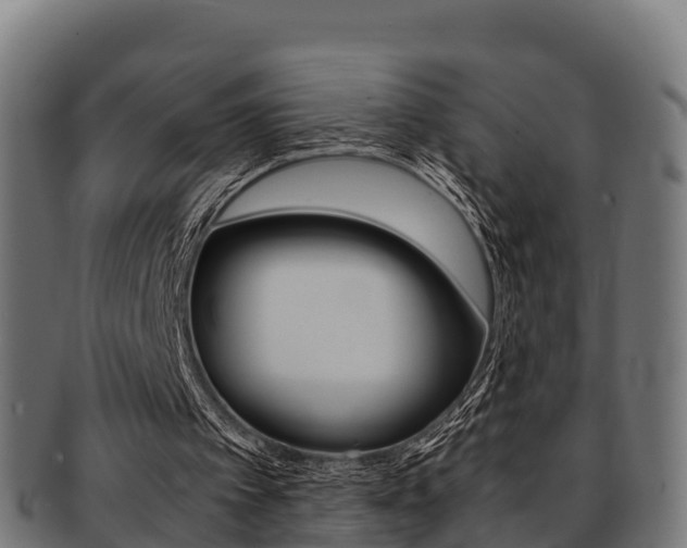 X0000091960097200709061108