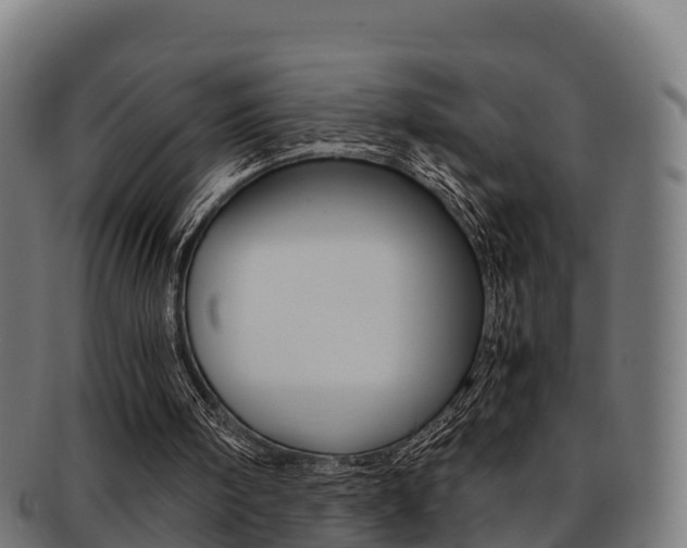 X0000091960098200709061108