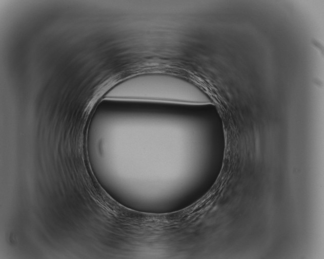 X0000091960099200709061108