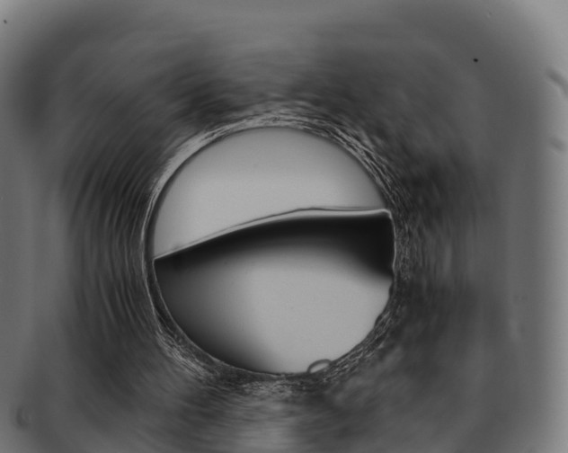 X0000091960100200709061108