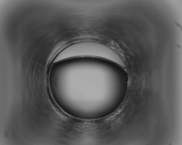 X0000091960101200709061108