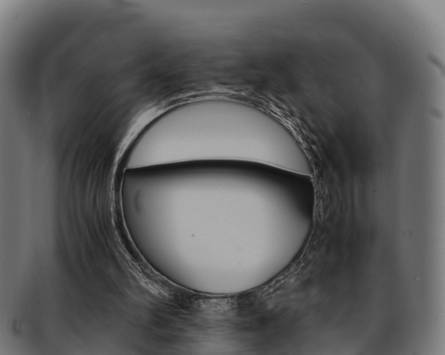X0000091960102200709061108