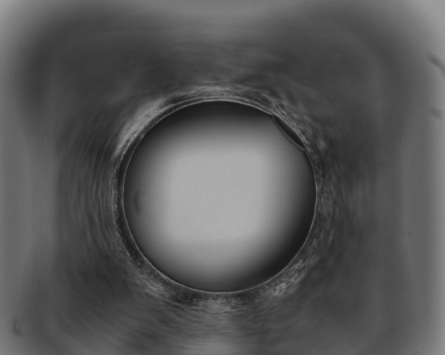 X0000091960103200709061108