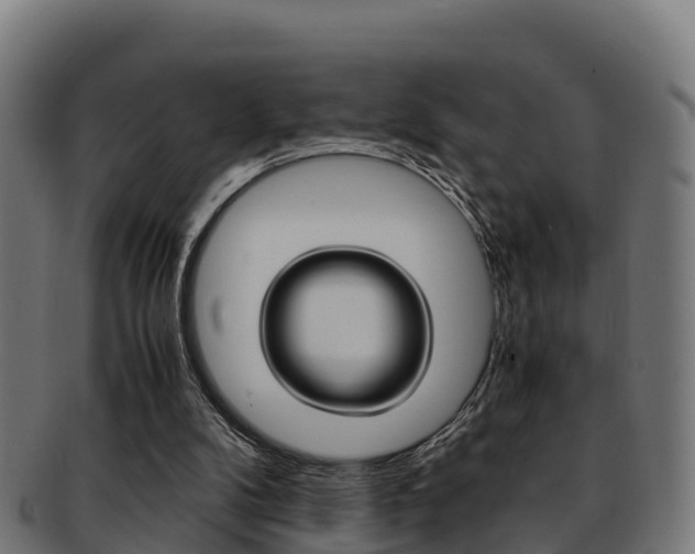 X0000091960104200709061108