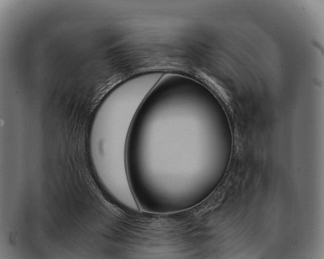 X0000091960105200709061108