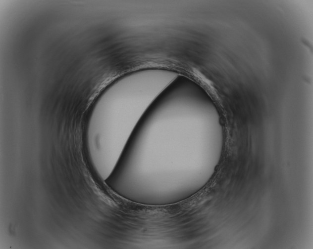 X0000091960106200709061108