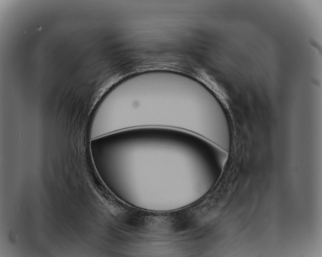 X0000091960107200709061108