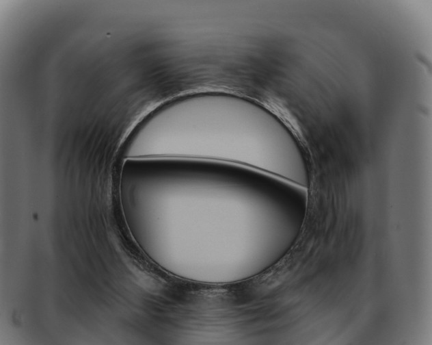 X0000091960108200709061108