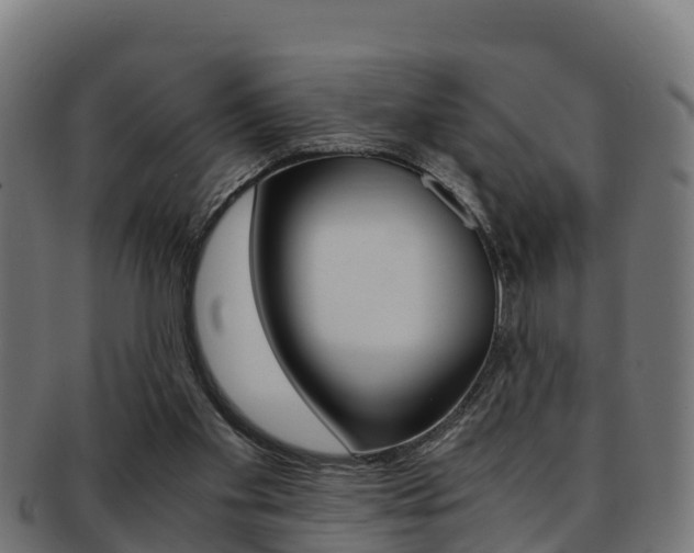 X0000091960109200709061108