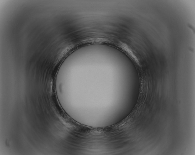 X0000091960110200709061108