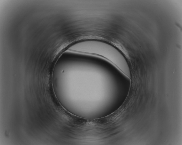 X0000091960111200709061108